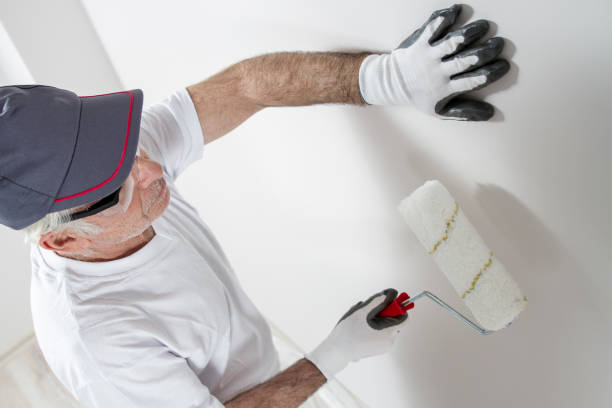 Best Environmental Consulting for Mold Prevention  in Youngsville, LA