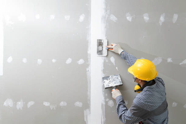 Best Residential Mold Inspection & Testing  in Youngsville, LA